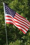 <img100*0:stuff/z/73640/American%2520Flag%2520reference/i1264963470_12.jpg>