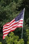 <img100*0:stuff/z/73640/American%2520Flag%2520reference/i1264963470_13.jpg>