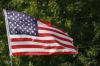 <img100*0:stuff/z/73640/American%2520Flag%2520reference/i1264963470_18.jpg>