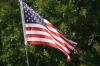 <img100*0:stuff/z/73640/American%2520Flag%2520reference/i1264963470_19.jpg>