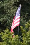 <img100*0:stuff/z/73640/American%2520Flag%2520reference/i1264963471_20.jpg>