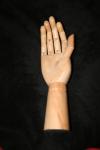 <img100*0:stuff/z/73640/Artist%2520Model%2520Reference.2/i1265335865_1.jpg>