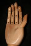 <img100*0:stuff/z/73640/Artist%2520Model%2520Reference.2/i1265335867_5.jpg>