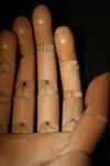 <img100*0:stuff/z/73640/Artist%2520Model%2520Reference.2/i1265335870_8.jpg>