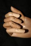 <img100*0:stuff/z/73640/Artist%2520Model%2520Reference.2/i1265335871_9.jpg>