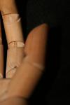 <img100*0:stuff/z/73640/Artist%2520Model%2520Reference.2/i1265335872_11.jpg>