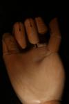 <img100*0:stuff/z/73640/Artist%2520Model%2520Reference.2/i1265335875_14.jpg>