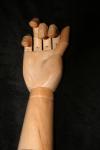 <img100*0:stuff/z/73640/Artist%2520Model%2520Reference.2/i1265335877_17.jpg>