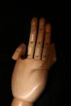 <img100*0:stuff/z/73640/Artist%2520Model%2520Reference.2/i1265338514_9.jpg>
