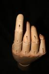 <img100*0:stuff/z/73640/Artist%2520Model%2520Reference.2/i1265339508_7.jpg>
