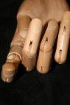 <img100*0:stuff/z/73640/Artist%2520Model%2520Reference.2/i1265343444_8.jpg>