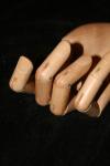 <img100*0:stuff/z/73640/Artist%2520Model%2520Reference.2/i1265343451_17.jpg>