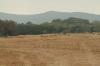<img100*0:stuff/z/73640/Autumn%2520Landscapes%2520in%2520Texas/i1256178923_1.jpg>