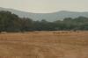 <img100*0:stuff/z/73640/Autumn%2520Landscapes%2520in%2520Texas/i1256178923_2.jpg>
