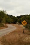 <img100*0:stuff/z/73640/Autumn%2520Landscapes%2520in%2520Texas/i1256178923_4.jpg>