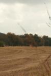 <img100*0:stuff/z/73640/Autumn%2520Plants%2520in%2520Texas/i1256178488_8.jpg>