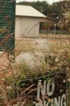 <img100*0:stuff/z/73640/Autumn%2520Plants%2520in%2520Texas/i1256178489_17.jpg>