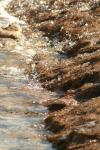 <img100*0:stuff/z/73640/Autumn%2520River%2520in%2520Texas/i1256178119_7.jpg>