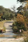 <img100*0:stuff/z/73640/Autumn%2520River%2520in%2520Texas/i1256178119_8.jpg>