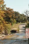 <img100*0:stuff/z/73640/Autumn%2520River%2520in%2520Texas/i1256178120_23.jpg>