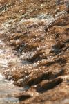 <img100*0:stuff/z/73640/Autumn%2520River%2520in%2520Texas/i1256178121_27.jpg>