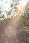 <img100*0:stuff/z/73640/Autumn%2520Upload%2520Page/i1263441286_1.jpg>