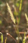 <img100*0:stuff/z/73640/Autumn%2520Upload%2520Page/i1263441286_10.jpg>