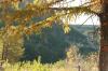 <img100*0:stuff/z/73640/Autumn%2520Upload%2520Page/i1263441286_12.jpg>