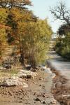 <img100*0:stuff/z/73640/Autumn%2520Upload%2520Page/i1263441286_13.jpg>