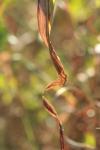 <img100*0:stuff/z/73640/Autumn%2520Upload%2520Page/i1263441286_3.jpg>
