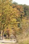 <img100*0:stuff/z/73640/Autumn%2520Upload%2520Page/i1263441286_5.jpg>