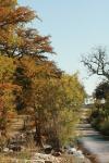 <img100*0:stuff/z/73640/Autumn%2520Upload%2520Page/i1263441286_7.jpg>