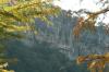 <img100*0:stuff/z/73640/Autumn%2520Upload%2520Page/i1263441287_19.jpg>