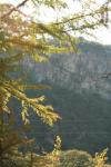 <img100*0:stuff/z/73640/Autumn%2520Upload%2520Page/i1263441287_23.jpg>