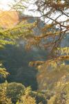 <img100*0:stuff/z/73640/Autumn%2520Upload%2520Page/i1263441287_24.jpg>