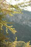 <img100*0:stuff/z/73640/Autumn%2520Upload%2520Page/i1263441287_29.jpg>