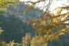 <img100*0:stuff/z/73640/Autumn%2520Upload%2520Page/i1263441287_30.jpg>