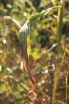 <img100*0:stuff/z/73640/Autumn%2520Upload%2520Page/i1263441287_32.jpg>