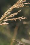 <img100*0:stuff/z/73640/Autumn%2520Upload%2520Page/i1263441287_34.jpg>