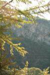 <img100*0:stuff/z/73640/Autumn%2520Upload%2520Page/i1263441287_35.jpg>