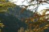 <img100*0:stuff/z/73640/Autumn%2520Upload%2520Page/i1263441287_36.jpg>