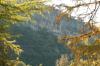 <img100*0:stuff/z/73640/Autumn%2520Upload%2520Page/i1263441287_41.jpg>