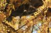 <img100*0:stuff/z/73640/Autumn%2520Upload%2520Page/i1263442497_1.jpg>