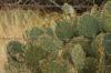 <img100*0:stuff/z/73640/Autumn%2520Upload%2520Page/i1263442497_5.jpg>