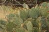 <img100*0:stuff/z/73640/Autumn%2520Upload%2520Page/i1263442498_11.jpg>