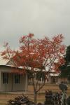 <img100*0:stuff/z/73640/Autumn%2520Upload%2520Page/i1263442498_16.jpg>