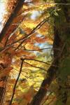 <img100*0:stuff/z/73640/Autumn%2520Upload%2520Page/i1263442499_21.jpg>