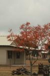 <img100*0:stuff/z/73640/Autumn%2520Upload%2520Page/i1263442499_22.jpg>