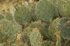 <img100*0:stuff/z/73640/Autumn%2520Upload%2520Page/i1263442499_23.jpg>