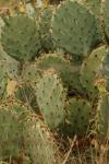 <img100*0:stuff/z/73640/Autumn%2520Upload%2520Page/i1263442500_35.jpg>